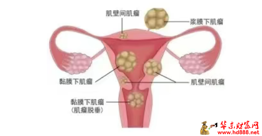 微信图片_2025-08-29_220218_368.png