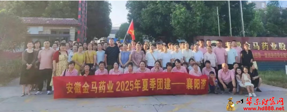 襄阳团建记：在古城烟火里，读懂企业与成长的双向奔赴
