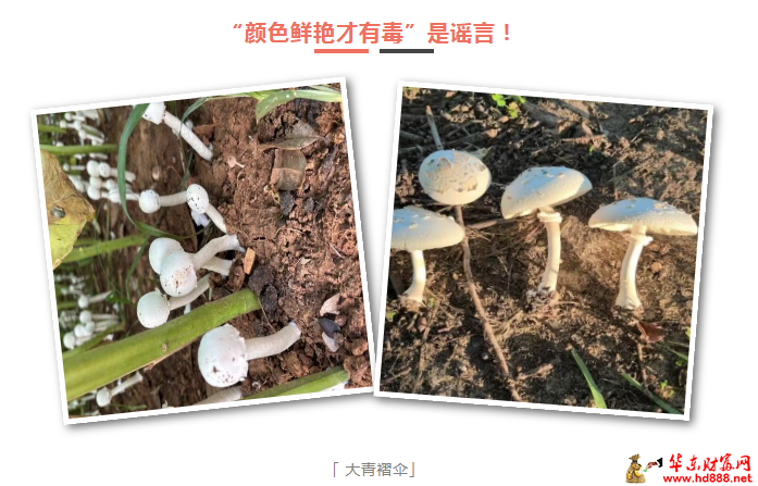 微信图片_20250928170725_1049_2181.png