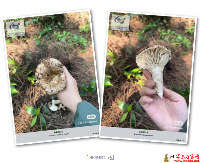 微信图片_20250928170725_1050_2181.png