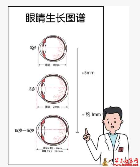 你知道眼睛的生长故事吗？