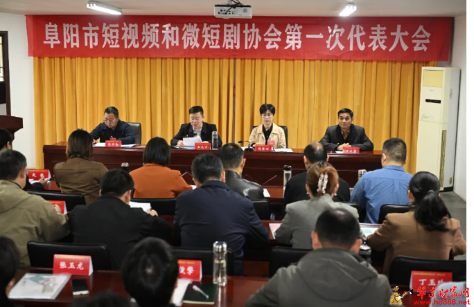 阜阳市短视频和微短剧协会成立