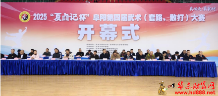 2025“夏卤记杯”阜阳第四届武术大赛圆满落下帷幕