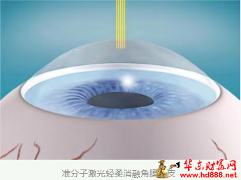 20251202152311572979.png 微信图片_20251202151638_2059_2181.png