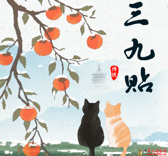 冬病冬防正当时！阜阳市妇女儿童医院“三九贴”开始预约啦！