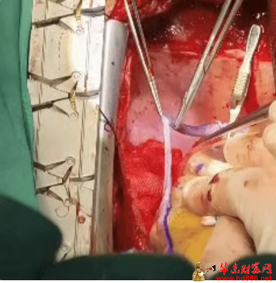 20251214203124426671.png 微信图片_20251214202653_2260_2181.png