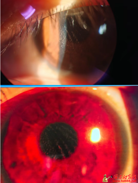 20260105143449203112.png 微信图片_20260105143053_2487_2181.png