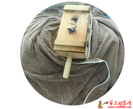 20260201154606351110.png 微信图片_20260201154311_2955_2181.png