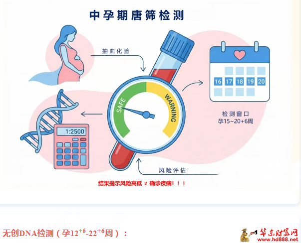 20260213205628528580.png 微信图片_20260213203903_3204_2181.png