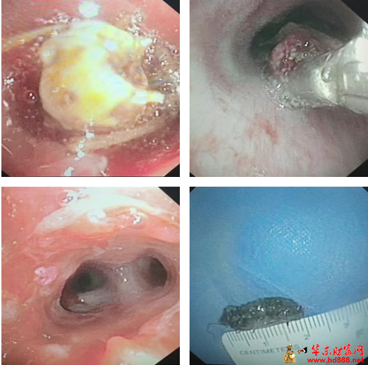 202602281053385271.png 微信图片_20260228105130_3393_2181.png