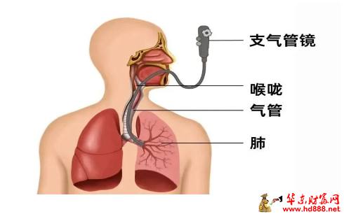 20260228105526415815.png 微信图片_20260228105500_3396_2181.png