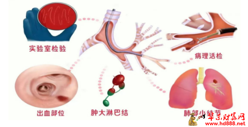 20260228105616553739.png 微信图片_20260228105130_3395_2181.png