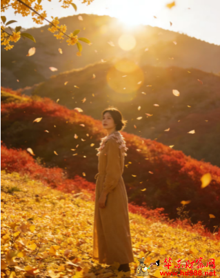 20260324093610832472.png 微信图片_20260324093222_256_818.png