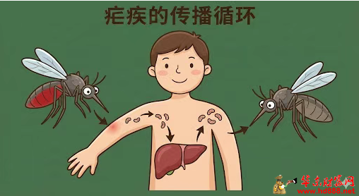 专家提醒：归国人员请注意：警惕&ldquo;跨国&rdquo;而来的疟疾，这份防控指南请收好！