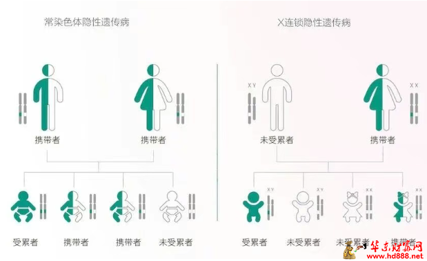 【直播预告】科学备孕第一关：遗传病携带者筛查，你了解吗？