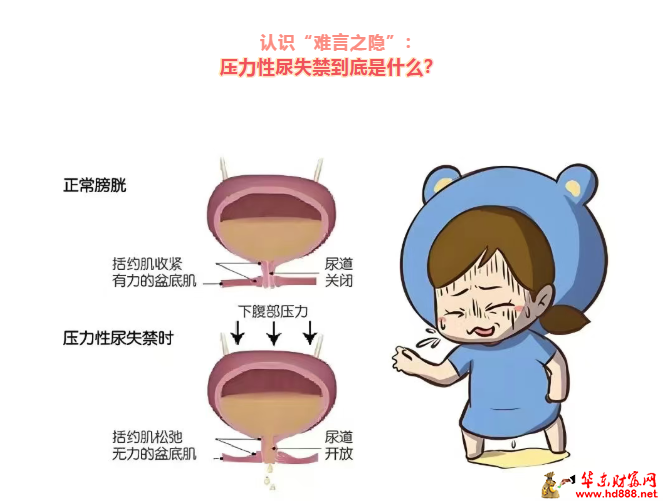 20260510200245564585.png 微信图片_20260510195931_518_1153.png