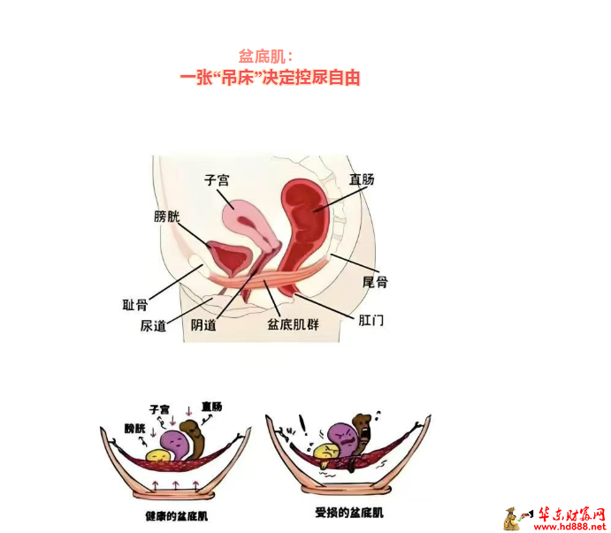 20260510200309987675.png 微信图片_20260510195931_519_1153.png