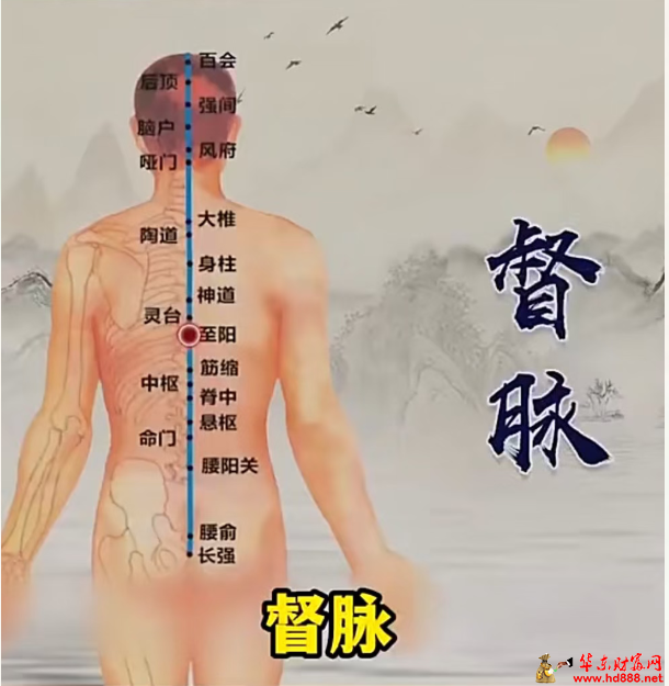 微信图片_20260515202701_599_1153.png