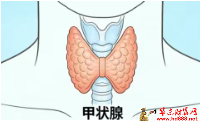 【直播预告】甲减不是&ldquo;懒&rdquo;，是病了，专家教您用好&ldquo;优甲乐&rdquo;