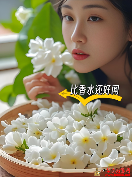 20260602140355782069.png 微信图片_20260602140203_3628_2.png