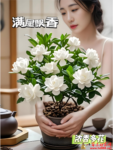 20260602140426809352.png 微信图片_20260602140203_3629_2.png