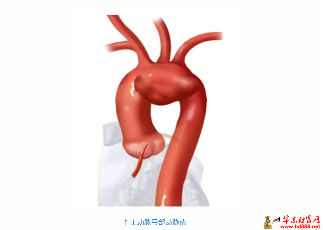 2026061307271642829.png 微信图片_20260613071716_959_1153.png