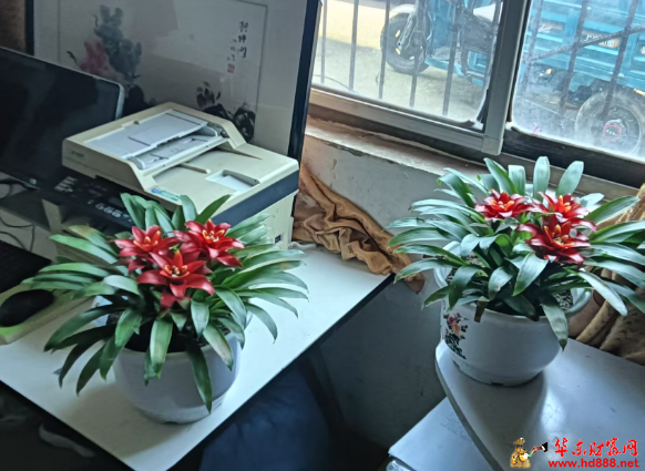 202606172044491723.png 微信图片_20260617204224_1026_1153.png