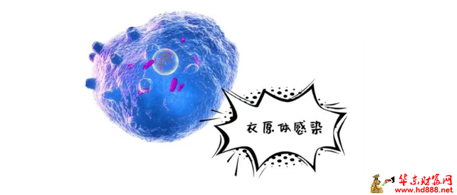 20260830184343969194.png 微信图片_20260830184107_1757_1153.png