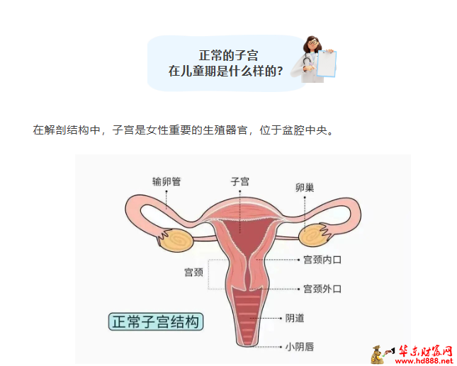 儿童健康科普：儿童体检提示始基状态子宫｜家长别焦虑，看懂再应对