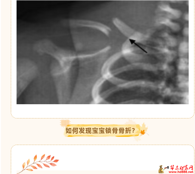 微信图片_20261008084659_138_55.png