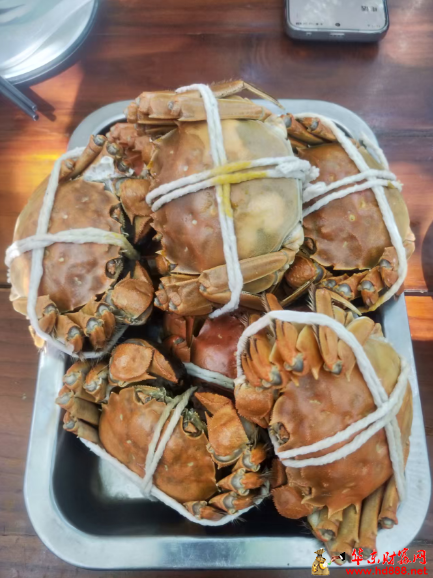 20261010110803408818.png 微信图片_20261010110334_205_55.png