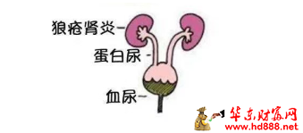 2026101511243845019.png 微信图片_20261015112300_254_55.png
